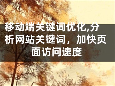 移动端关键词优化,分析网站关键词，加快页面访问速度
