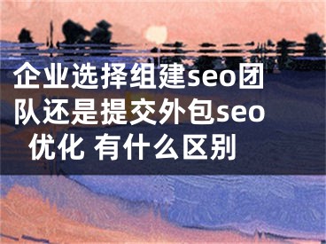 企业选择组建seo团队还是提交外包seo优化 有什么区别 