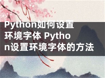 Python如何设置环境字体 Python设置环境字体的方法