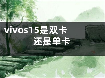 vivos15是双卡还是单卡