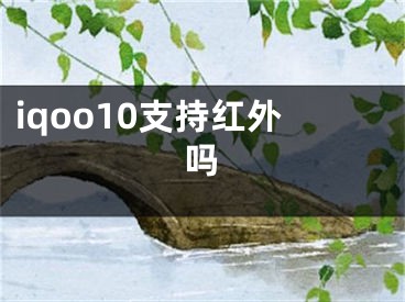 iqoo10支持红外吗