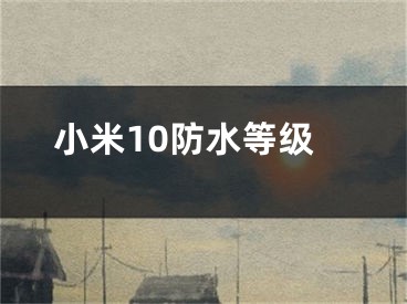 小米10防水等级