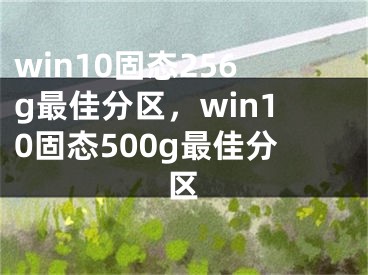 win10固态256g最佳分区，win10固态500g最佳分区