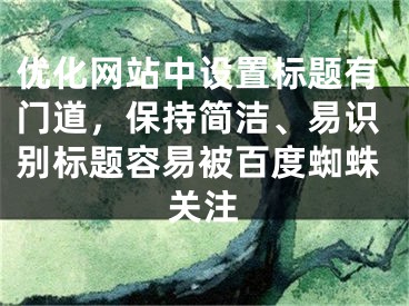 优化网站中设置标题有门道，保持简洁、易识别标题容易被百度蜘蛛关注