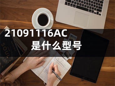 21091116AC是什么型号