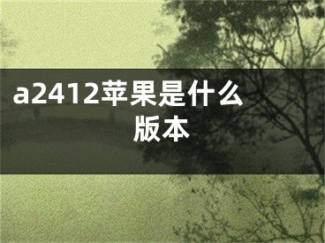 a2412苹果是什么版本