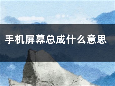 手机屏幕总成什么意思