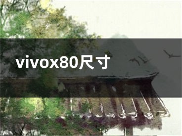 vivox80尺寸