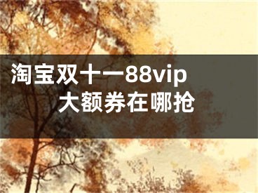 淘宝双十一88vip大额券在哪抢