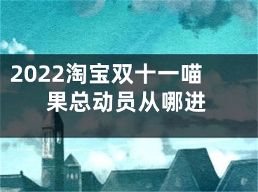 2022淘宝双十一喵果总动员从哪进