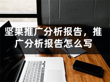 坚果推广分析报告，推广分析报告怎么写