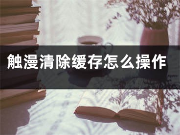 触漫清除缓存怎么操作