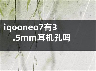 iqooneo7有3.5mm耳机孔吗