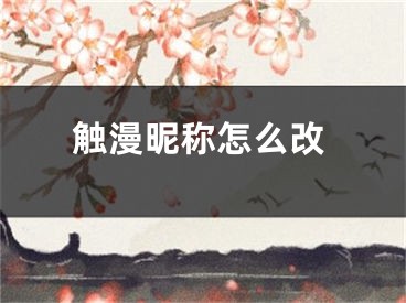 触漫昵称怎么改 