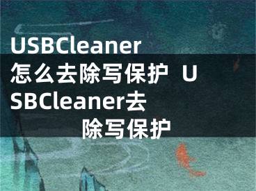 USBCleaner怎么去除写保护  USBCleaner去除写保护