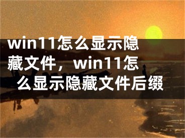 win11怎么显示隐藏文件，win11怎么显示隐藏文件后缀