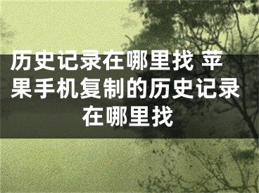 历史记录在哪里找 苹果手机复制的历史记录在哪里找