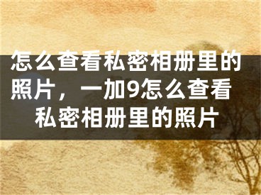 怎么查看私密相册里的照片，一加9怎么查看私密相册里的照片