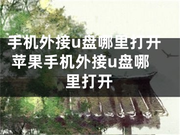 手机外接u盘哪里打开 苹果手机外接u盘哪里打开