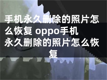 手机永久删除的照片怎么恢复 oppo手机永久删除的照片怎么恢复