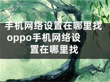 手机网络设置在哪里找 oppo手机网络设置在哪里找