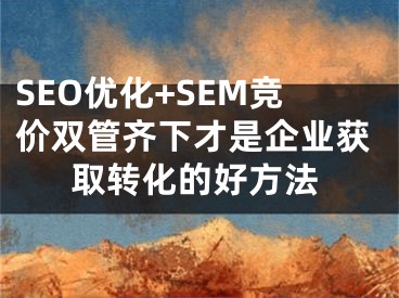 SEO优化+SEM竞价双管齐下才是企业获取转化的好方法 