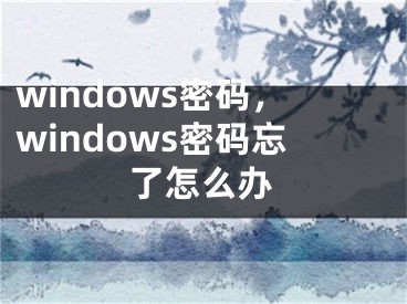 windows密码，windows密码忘了怎么办