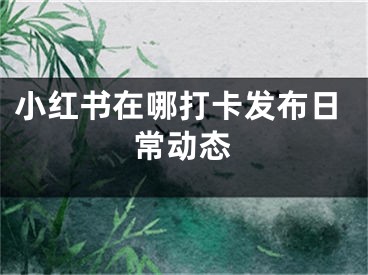 小红书在哪打卡发布日常动态