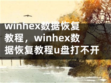 winhex数据恢复教程，winhex数据恢复教程u盘打不开
