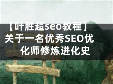 【叶胜超seo教程】关于一名优秀SEO优化师修炼进化史