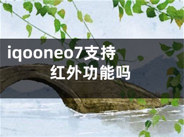 iqooneo7支持红外功能吗