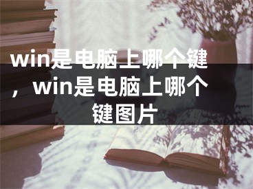 win是电脑上哪个键，win是电脑上哪个键图片 