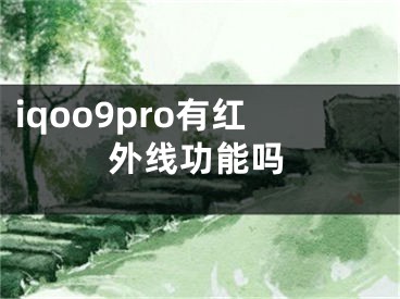 iqoo9pro有红外线功能吗