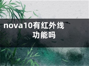 nova10有红外线功能吗