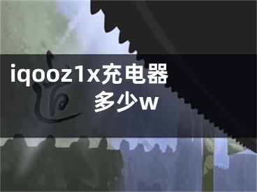 iqooz1x充电器多少w