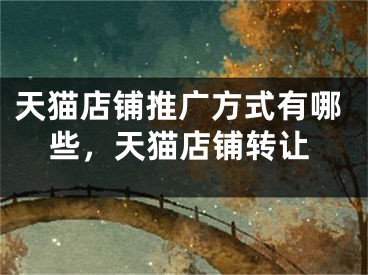天猫店铺推广方式有哪些，天猫店铺转让