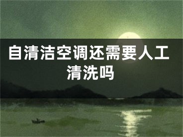 自清洁空调还需要人工清洗吗