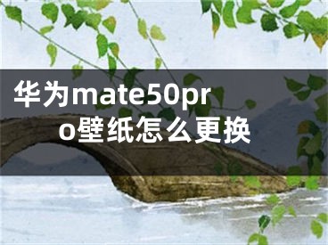 华为mate50pro壁纸怎么更换