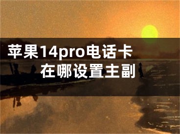 苹果14pro电话卡在哪设置主副