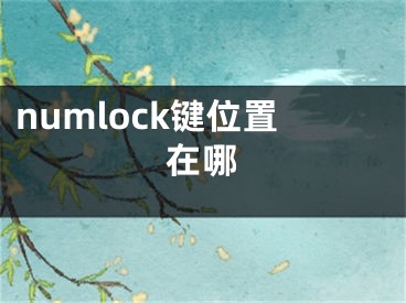 numlock键位置在哪