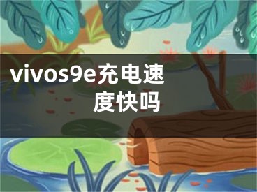 vivos9e充电速度快吗