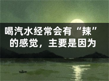 喝汽水经常会有“辣”的感觉，主要是因为