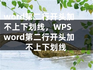 word第二行开头加不上下划线，WPS word第二行开头加不上下划线