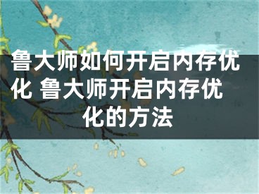 鲁大师如何开启内存优化 鲁大师开启内存优化的方法