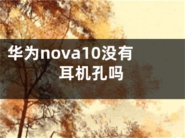华为nova10没有耳机孔吗