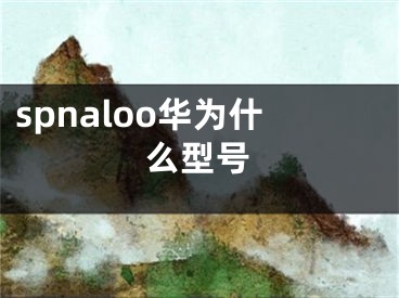 spnaloo华为什么型号