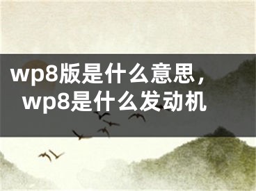 wp8版是什么意思，wp8是什么发动机