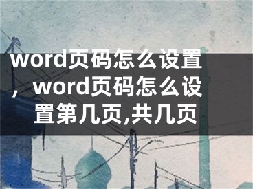 word页码怎么设置，word页码怎么设置第几页,共几页