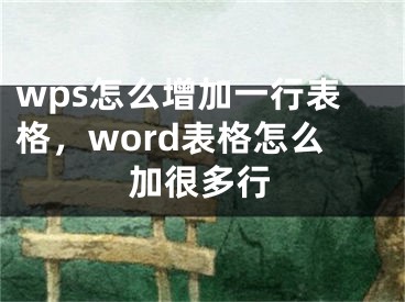 wps怎么增加一行表格，word表格怎么加很多行