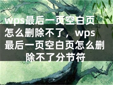 wps最后一页空白页怎么删除不了，wps最后一页空白页怎么删除不了分节符 